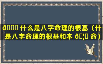 🐋 什么是八字命理的根基（什么是八字命理的根基和本 🦉 命）